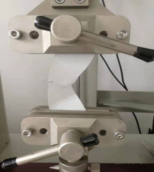 圖7:固定好的試樣